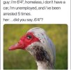 1000054655.jpg