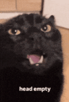 1000014903.gif