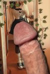 Cock Tribute.jpg
