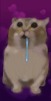 IMG_1686.jpeg