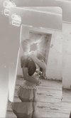 1003400631.jpg
