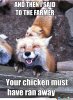 happy-fox-is-happy_o_1995443.jpg