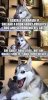 images-5.jpeg