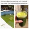 l-2805-free-green-drinks-all-year.jpg