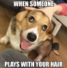 A579A499-C795-4F0D-93ED-92CADF6B29DF.png
