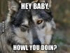 howl-you-doin.jpg howl-you-doin.jpg