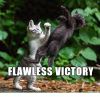flawless-victory-made-on-imgur-31411839.png