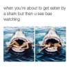 you-are-about-to-get-eaten-by-a-shark.jpg