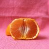 tangerine+dream.jpeg