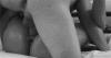 17924626.gif
