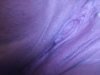 Message_1541028928407.jpg