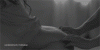 23.gif
