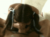 4705029.gif