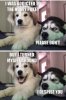 FB_IMG_1571616653392.jpg