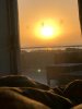 IMG-20191126-WA0000.jpg IMG-20191126-WA0000.jpg