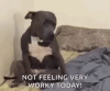 94E6201E-FE52-4ED5-9763-F3C4A76D1881.gif