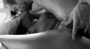 22399886.gif