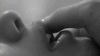 touch18.gif