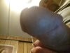 12853679-651d-4579-9911-41bcdbab1e91.jpg
