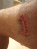IMG_20200712_232528.jpg