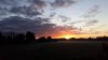20200910_070536.jpg 20200910_070536.jpg