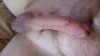 20170703_144832.jpg