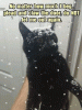 394a53fd-1af3-46e3-9282-7c1a3a02bc8c.gif