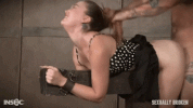 23746735.gif