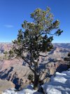 IMG_4089.jpeg