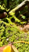 IMG_9179.jpeg