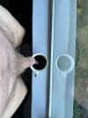 IMG_8362.jpeg