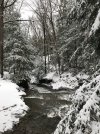 IMG_1603.jpeg