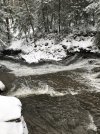 IMG_1654.jpeg