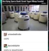 1000044231.jpg