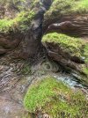 IMG_6790.jpeg