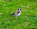 DSC_8694.jpg