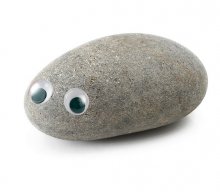 RockHardCock19