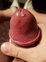 Letshavefunoncam