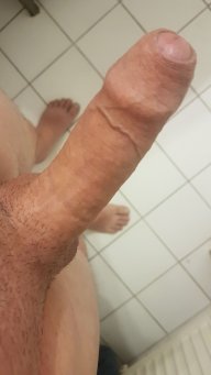 Dustywbc