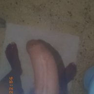 XXXX23