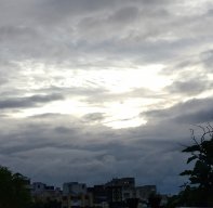 Anamika11235