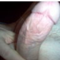 Shavedwilly