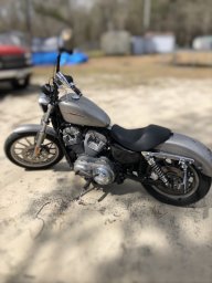 Harley37