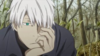 ShackisBack