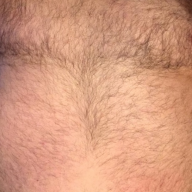 Bearcambridgeshie_uk