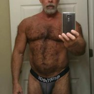 bear_top69
