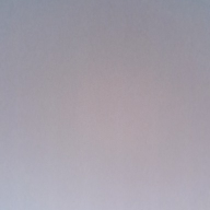 bird1233