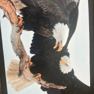 FreeDom23