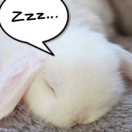 bunnydolly