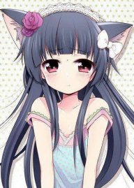 ShyNeko
